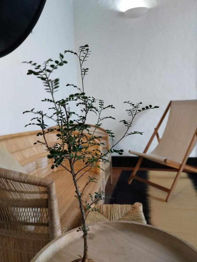 דירות טגיסי Casa Yooj Designers House In Teguise מראה חיצוני תמונה